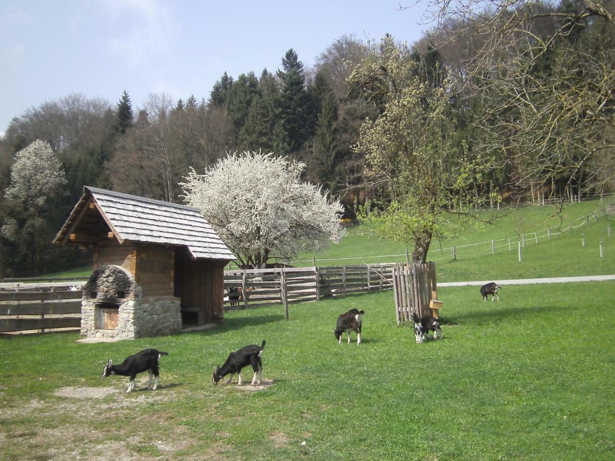 Bauernhof Kaspergut Kirchberg bei Mattighofen Exterior foto