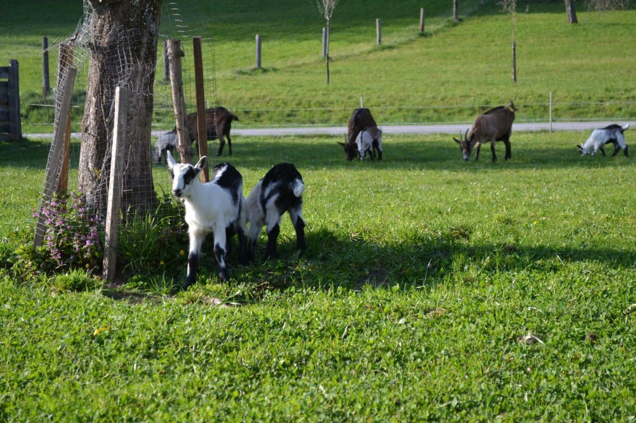 Bauernhof Kaspergut Kirchberg bei Mattighofen Exterior foto